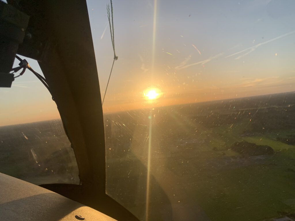 Woods from the helicopter